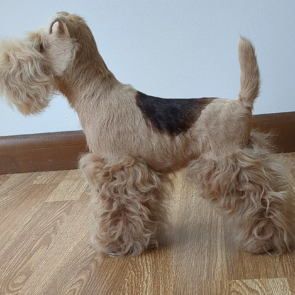 Dog Model Display, Terrior Breed, Lifelike Dog Pet